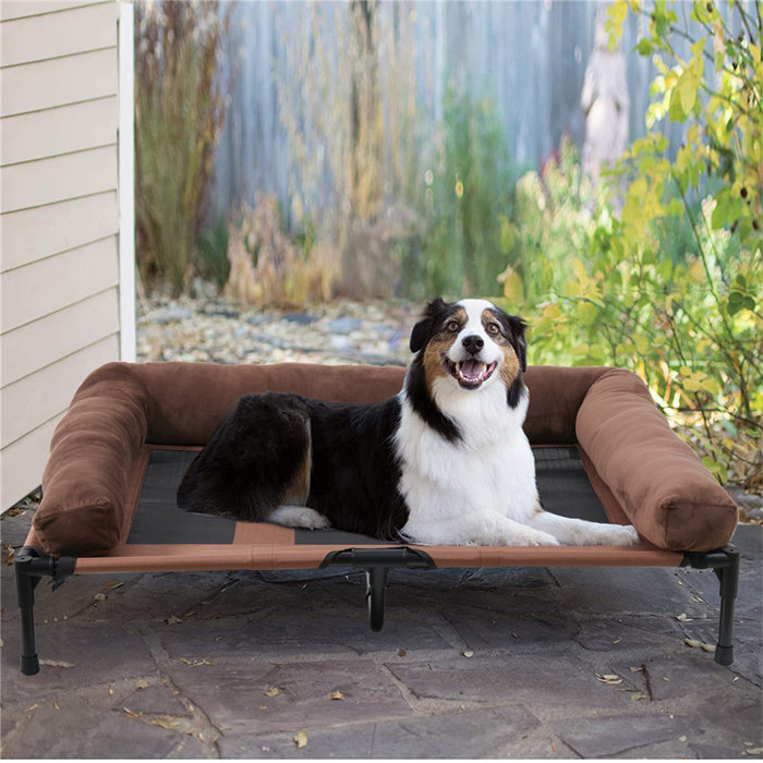 Bingo Paw Elevated Pet Bed Dog Raised Hammock Folding Breathable
